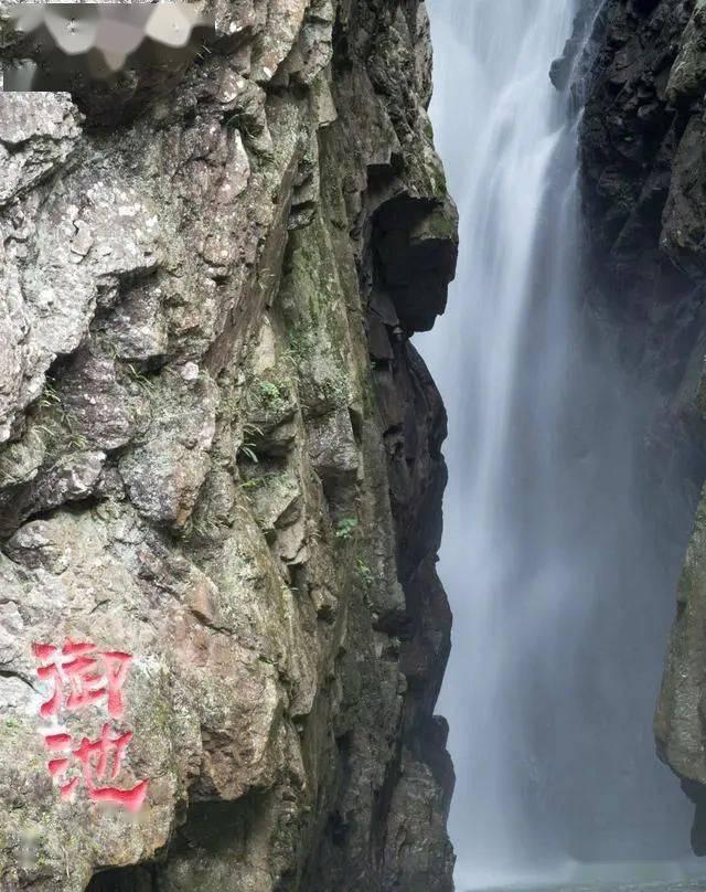 汇博机器人集团副总裁崔晓辉一行到访上合组织多功能经贸平台